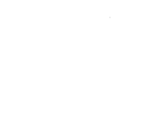 Việt Võ Đài